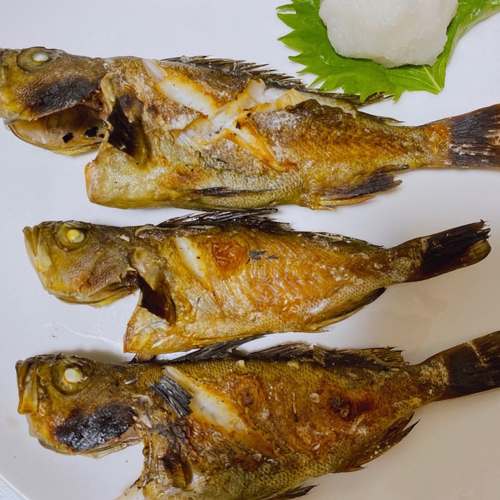 釣った小魚 ガヤメバル の塩焼き レシピ 作り方 By シャンティー 楽天レシピ 釣った小魚 ガヤメバル の塩焼き レシピ 作り方 By シャンティー 楽天レシピ